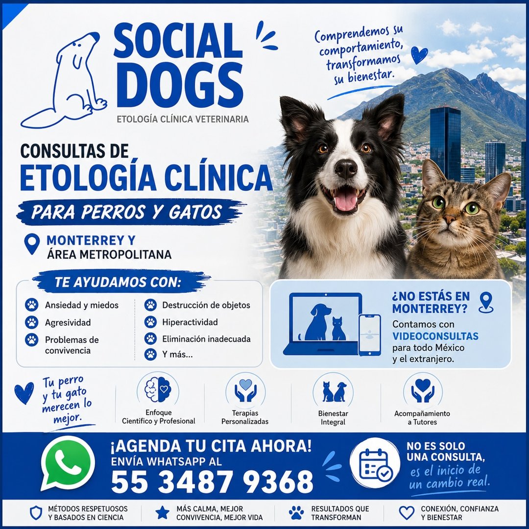 Anuncio de Social Dogs: Consultas de etología clínica veterinaria para perros y gatos