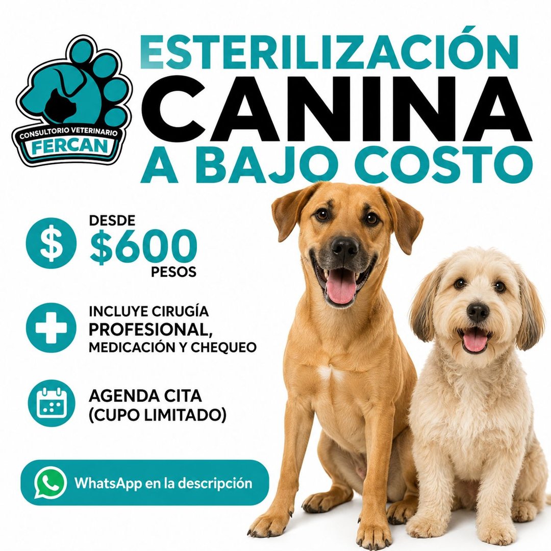 Anuncio de Consultorio Veterinario FerCan: esterilización canina