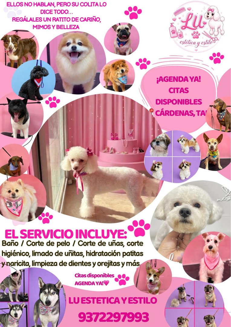 Anuncio de Lu Estética y Estilo: estética y estilo para mascotas