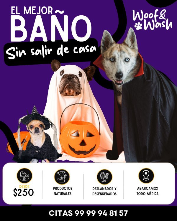 Anuncio de Woof and Wash: Baño para perros