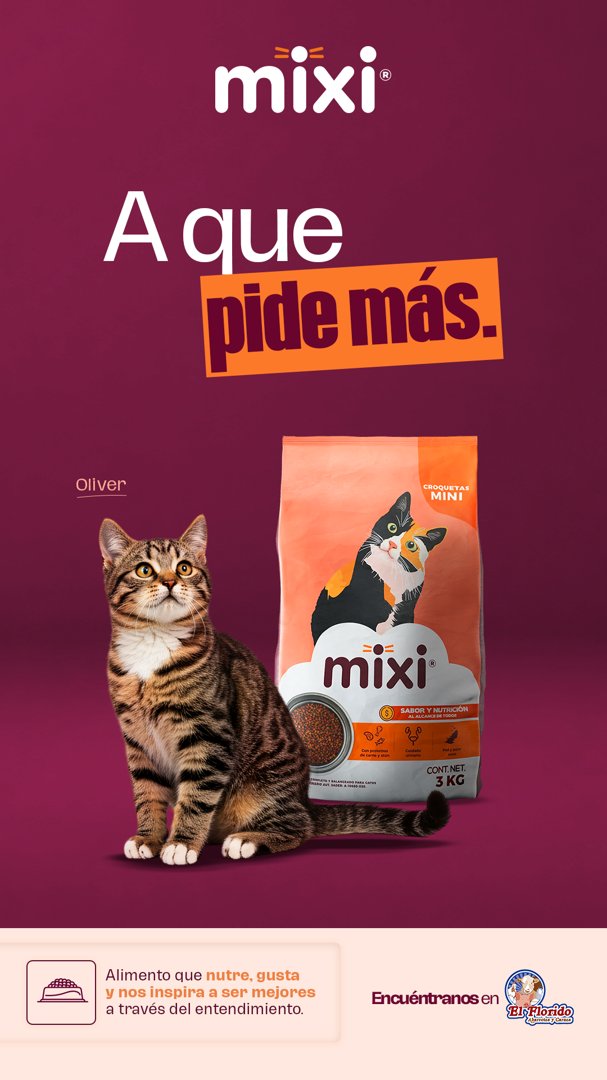 Anuncio de Mixi: Alimento para gatos