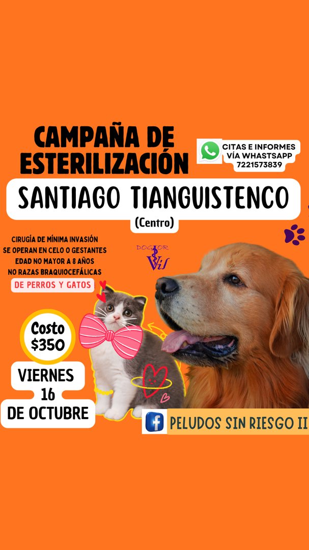 Anuncio de Peludos sin Riesgo II: esterilización de mascotas