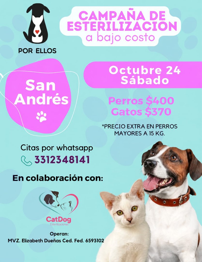 Anuncio de Por ellos - Campañas de esterilización a bajo costo: esterilización de mascotas