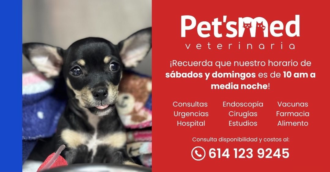 Anuncio de Pet's Med: Veterinaria