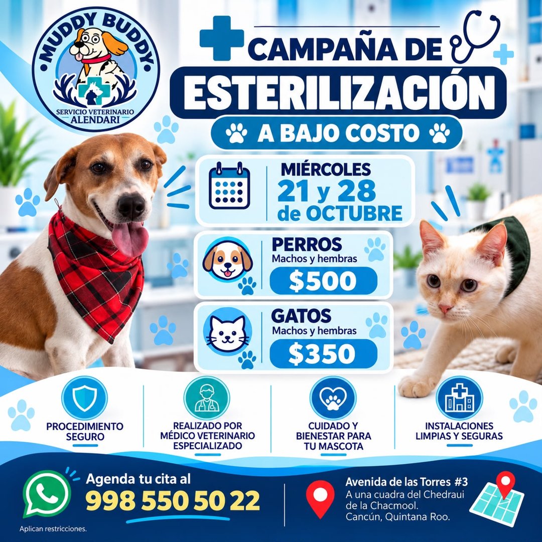 Anuncio de Muddy Buddy y Veterinaria Alendari
