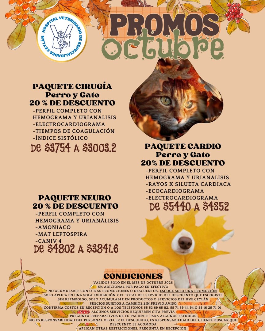 Anuncio de Hospital Veterinario de Especialidades Ceylán 24 hrs 365 días del año: paquetes de cirugía, cardio y neuro para perros y gatos
