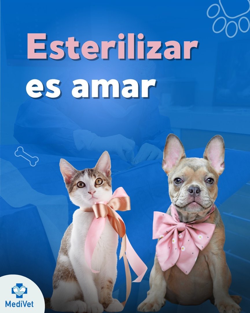 Anuncio de MediVet - Clínica Veterinaria: esterilización de mascotas