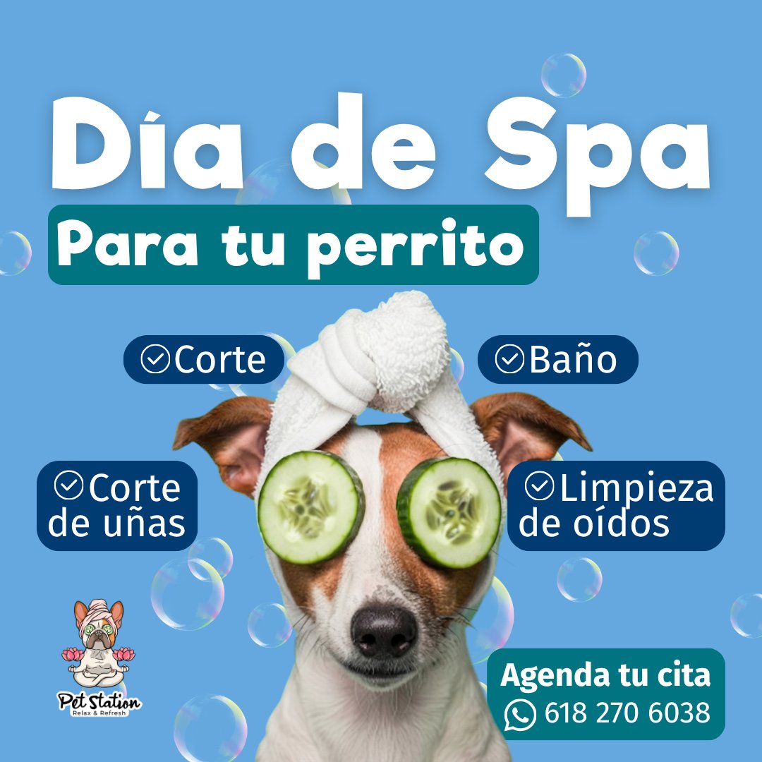 Anuncio de AVD Laboratorio de Análisis Clínicos Veterinarios: Grooming para perritos
