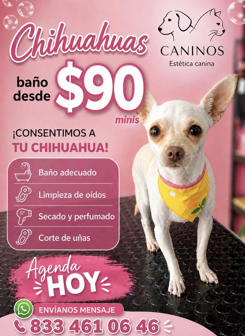 Anuncio de Caninosmx estética canina ll: Baño para chihuahuas