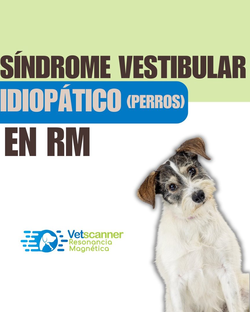 Anuncio de VetScanner: Resonancia magnética para perros