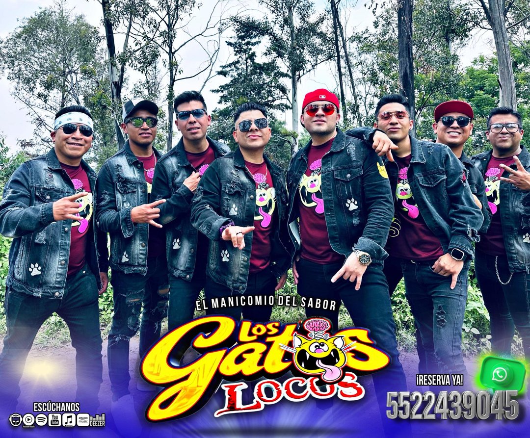 Anuncio de Los Gatos Locos: grupo musical