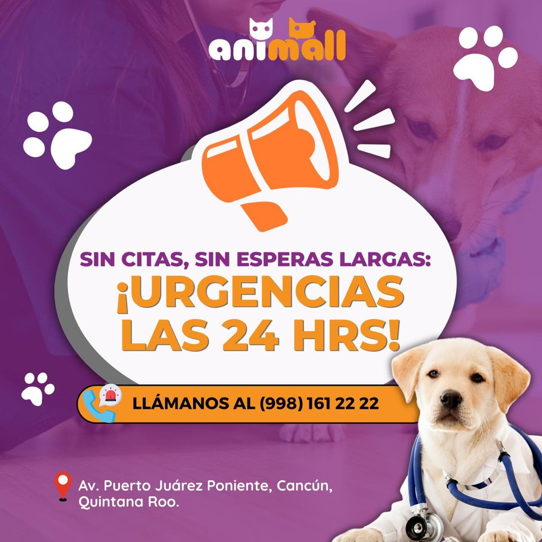 Anuncio de Animall Clínica Veterinaria: urgencias veterinarias 24 horas