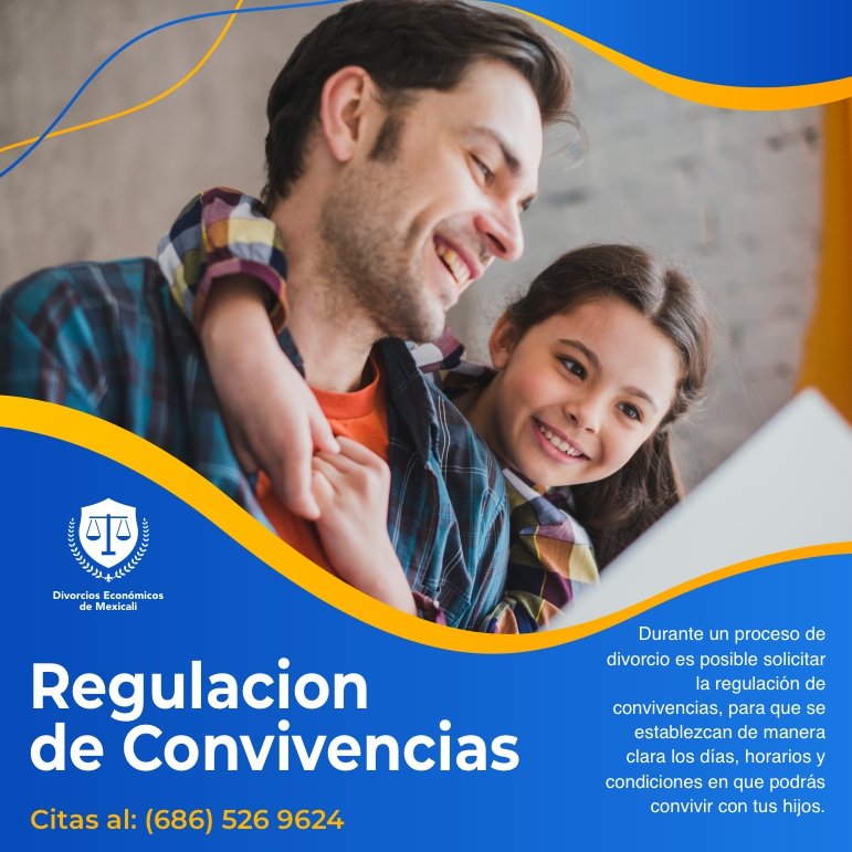 Anuncio de Divorcios Economicos en Mexicali: Regulación de Convivencias