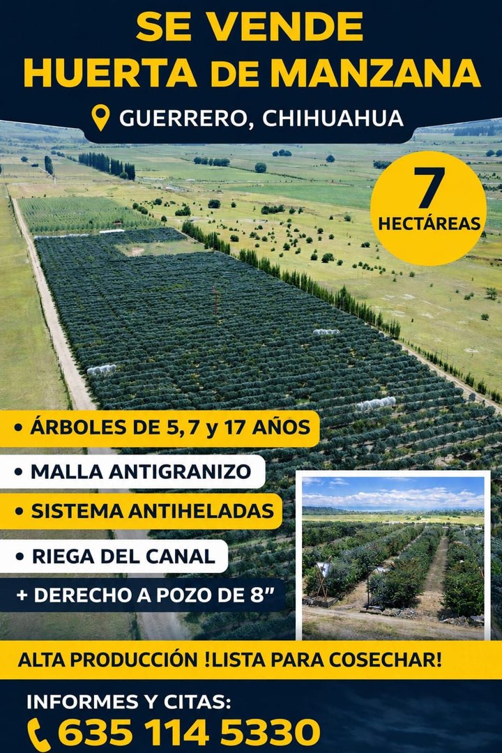 Anuncio de Casa Blanca Residencial: huerta de manzana