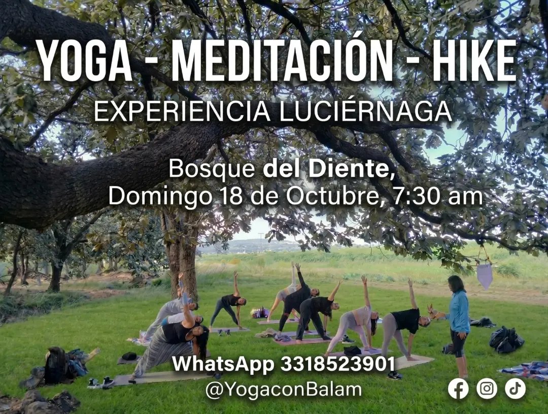 Anuncio de YogaconBalam: Experiencia de yoga, meditación y caminata en bosque