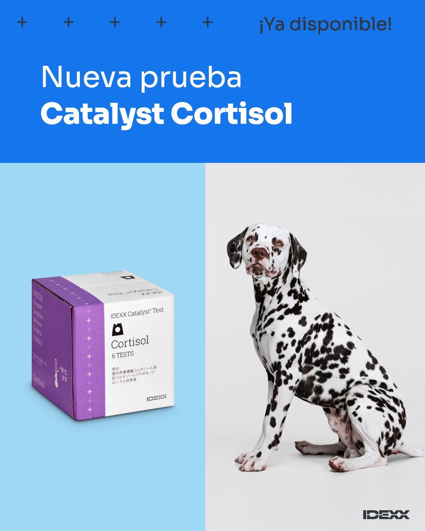 Anuncio de IDEXX Latinoamérica: prueba de cortisol para veterinarios