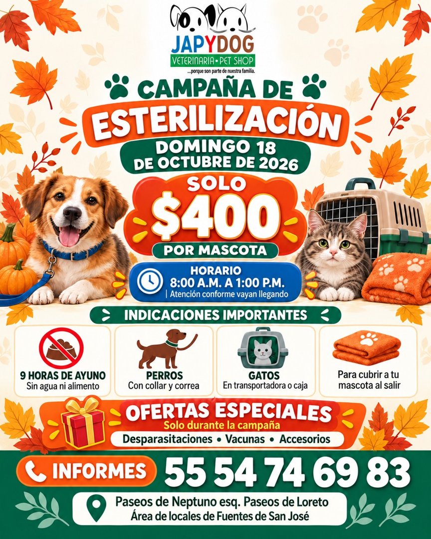 Anuncio de Veterinaria Japydog: esterilización
