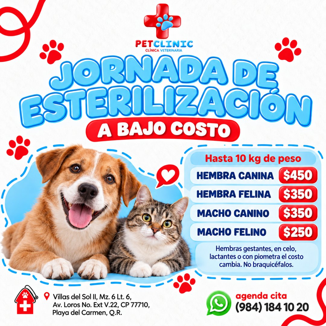 Anuncio de Clínica Veterinaria PetClinic Playa del Carmen