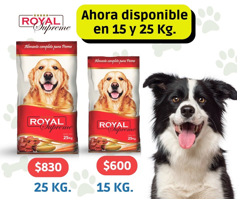 Anuncio de Royal Supreme GDL