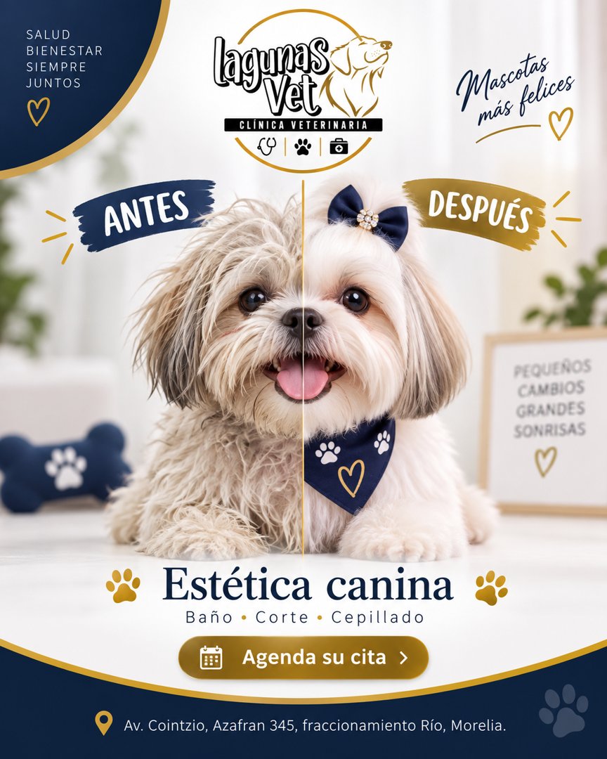 Anuncio de Lagunas vet: Estética Canina