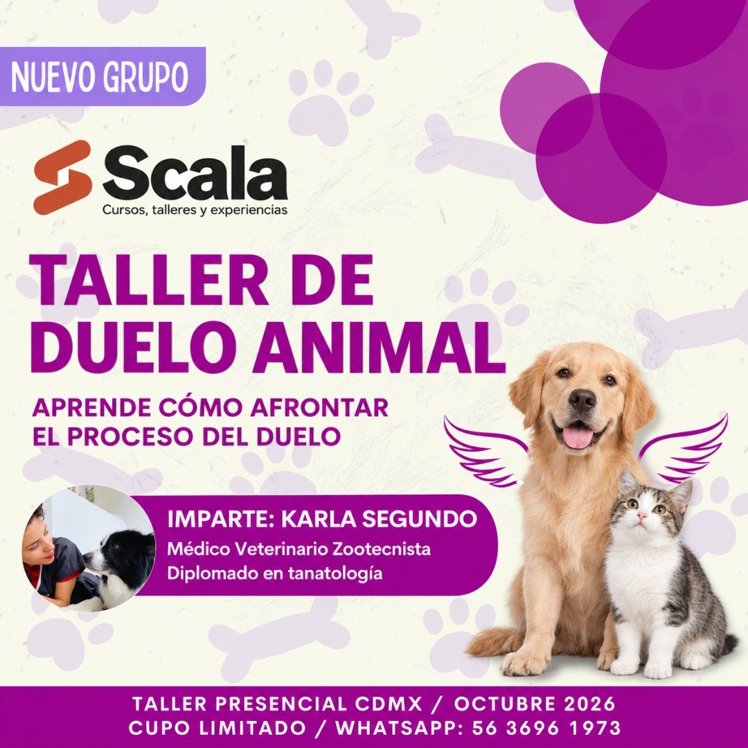 Anuncio de SCALA: Taller de duelo animal