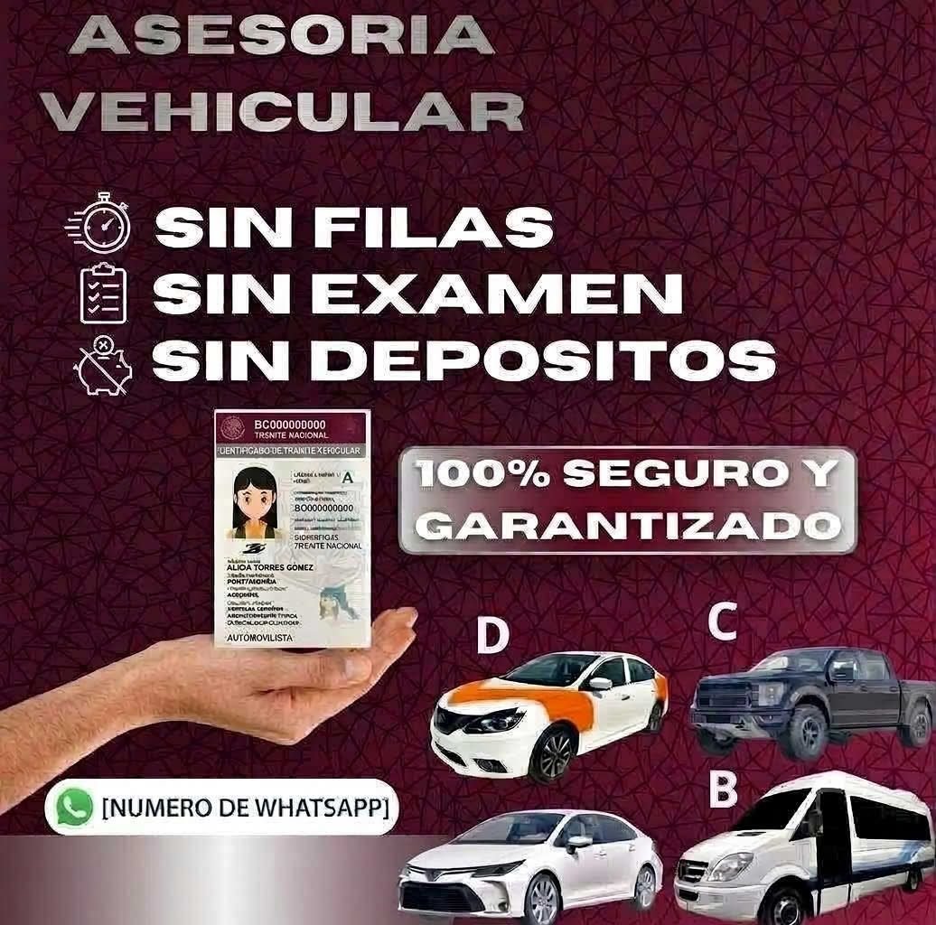 Anuncio de renata hernandez: asesoría vehicular