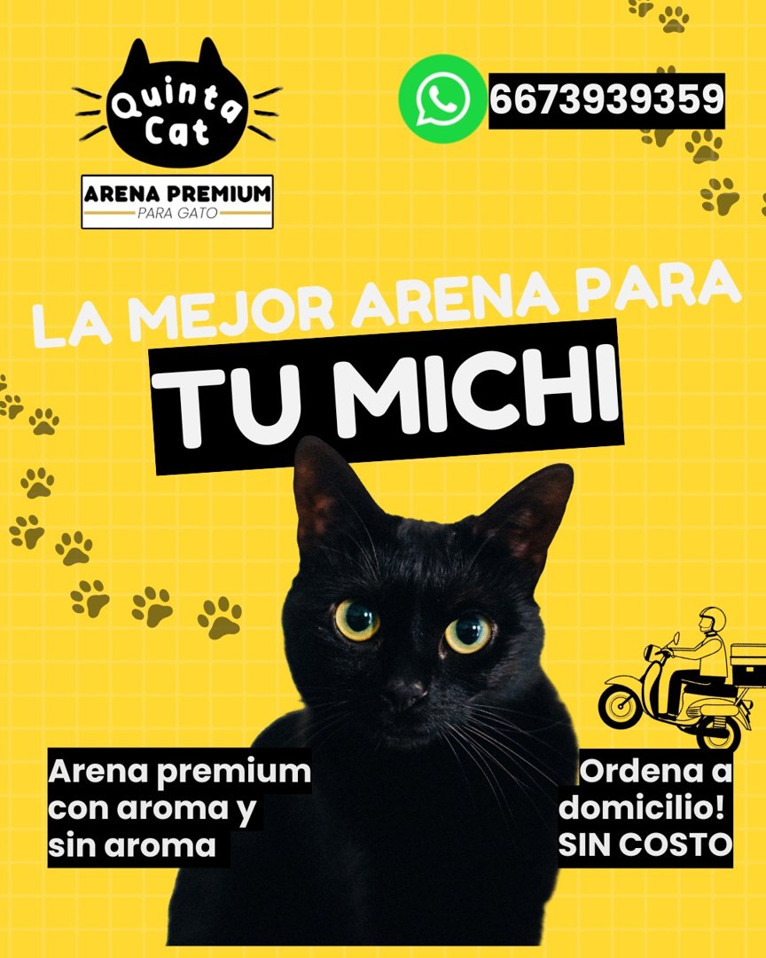 Anuncio de Quinta Cat Arena Premium Para Gato: Arena Premium Para Gato