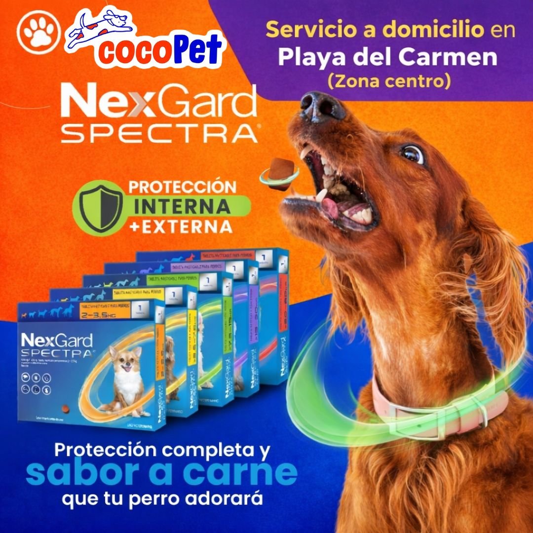 Anuncio de CocoPet playa del carmen