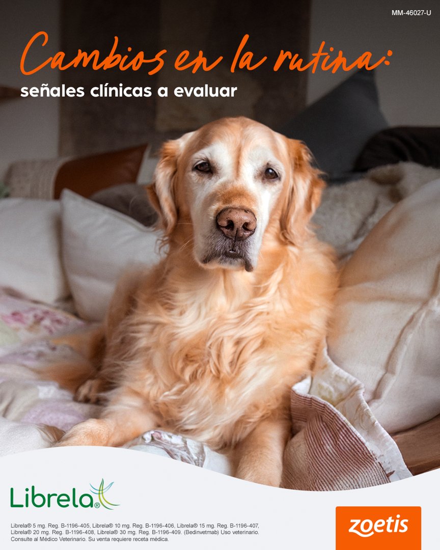 Anuncio de Zoetis Vet Team: Librela