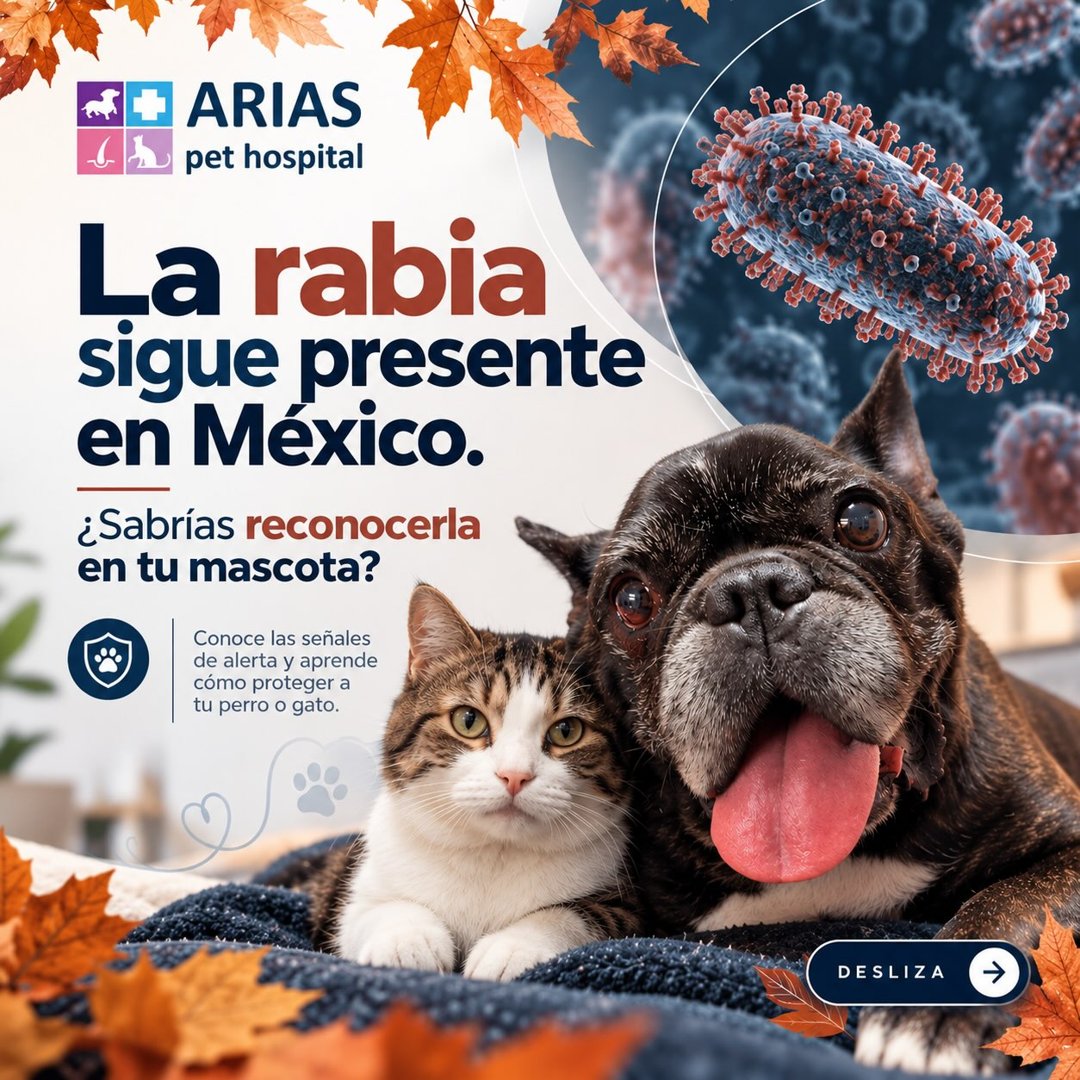 Anuncio de Arias Pet Hospital: vacunación antirrábica