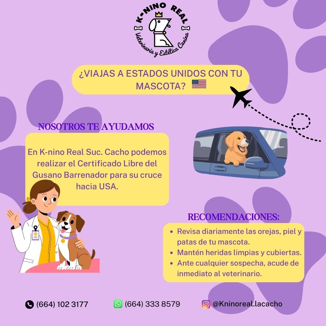 Anuncio de kninoreal.lacacho: Certificado Libre de Gusano Barrenador