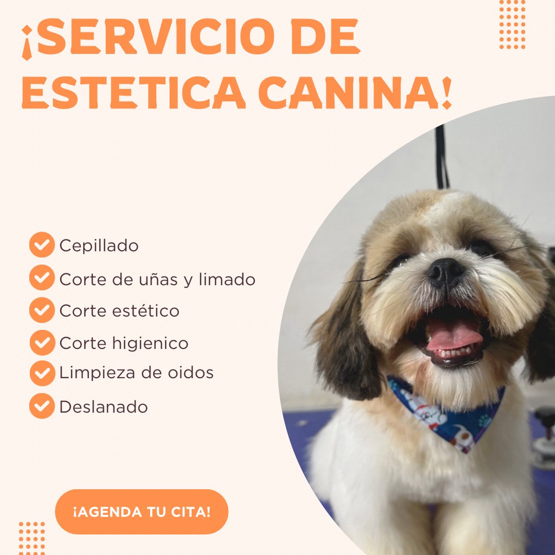 Anuncio de Toby's Pet Care: Estetica canina
