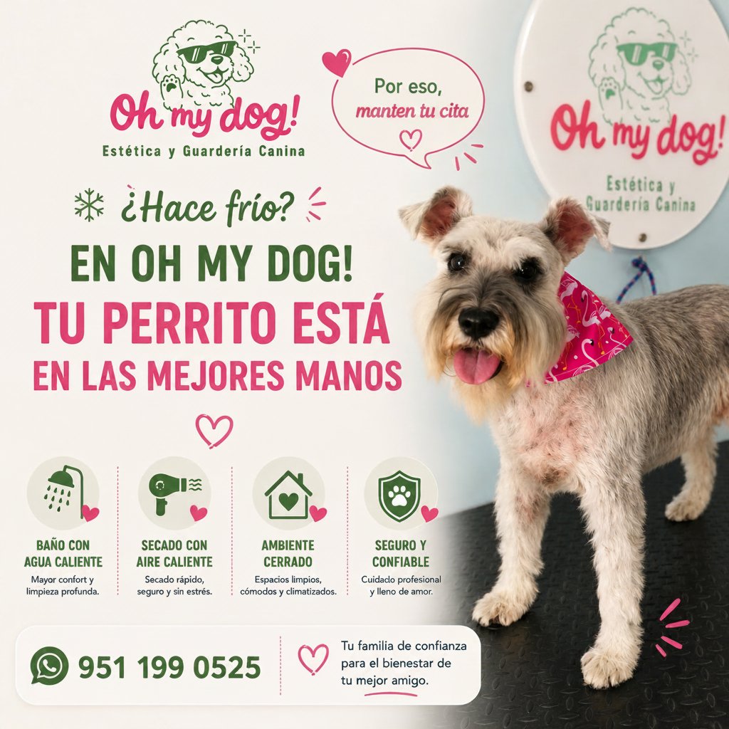 Anuncio de Oh My Dog Estética y Guardería: Estética y Guardería Canina