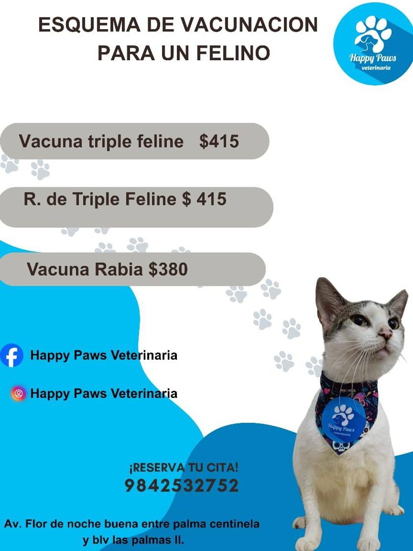 Anuncio de Happy Paws Veterinaria
