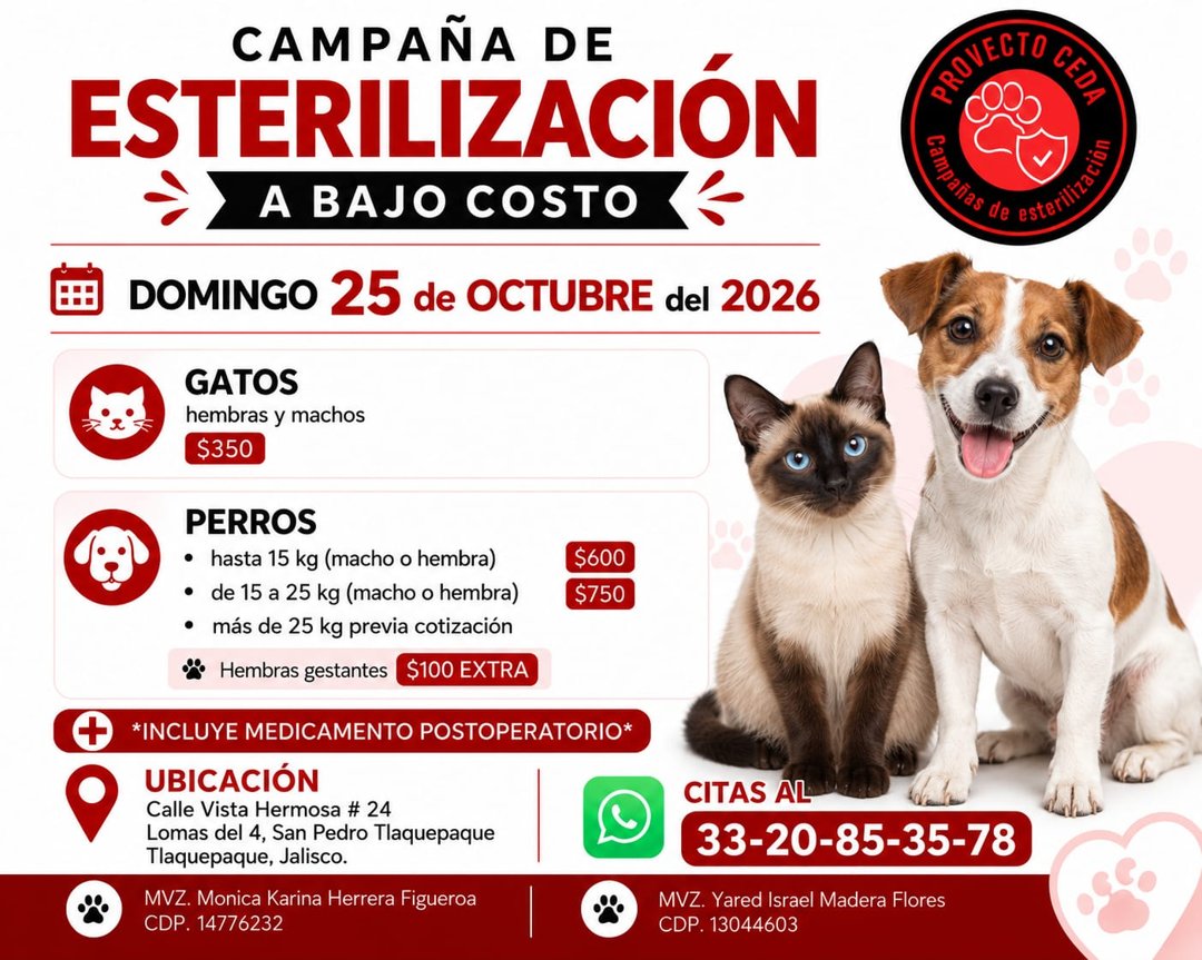 Anuncio de Proyecto CEDA: esterilización de mascotas