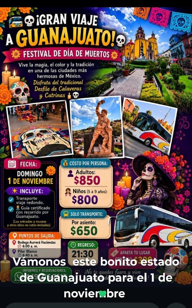 Anuncio de Excursiones Nafa-mar: Excursión a Guanajuato para el Festival de Día de Muertos