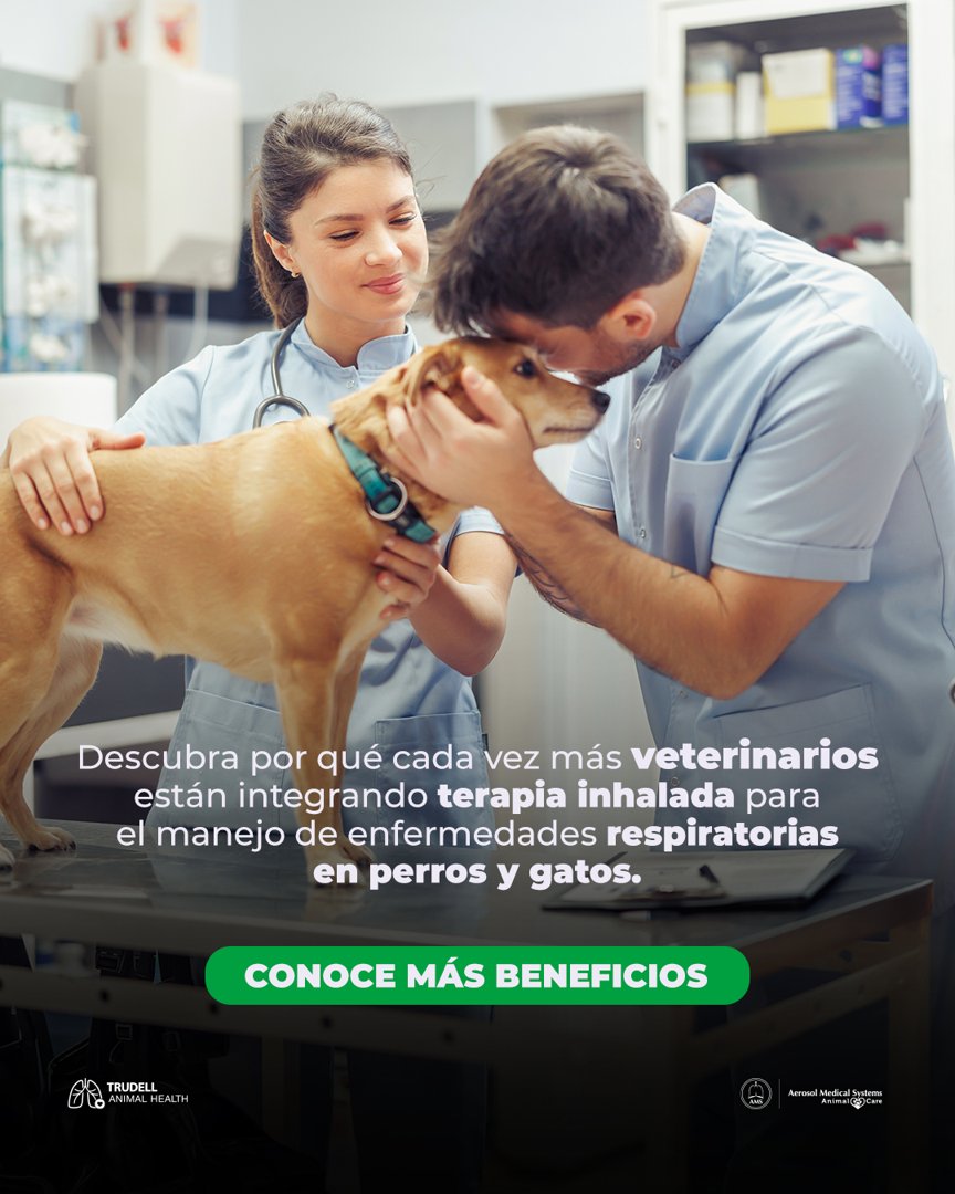 Anuncio de Trudell Salud Animal: terapia inhalada para enfermedades respiratorias en perros y gatos