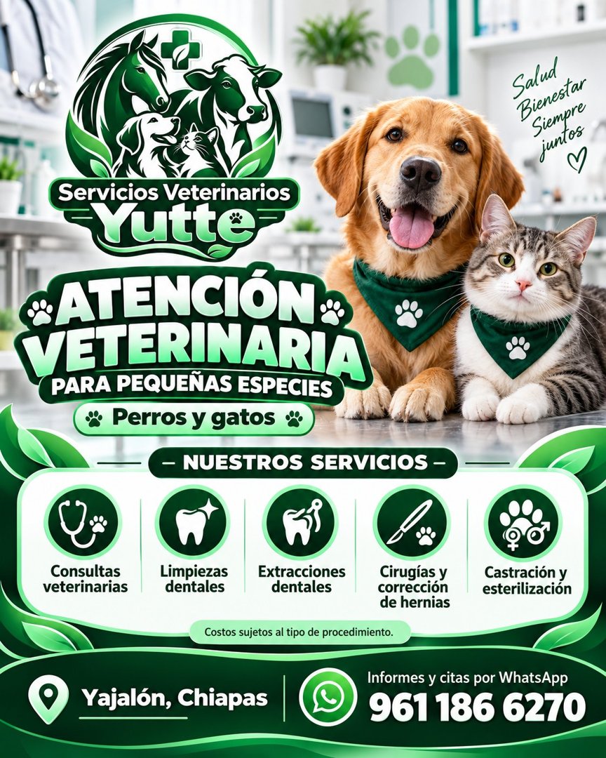 Anuncio de Servicios veterinarios Yutte: Servicios veterinarios para perros, gatos, caballos y bovinos