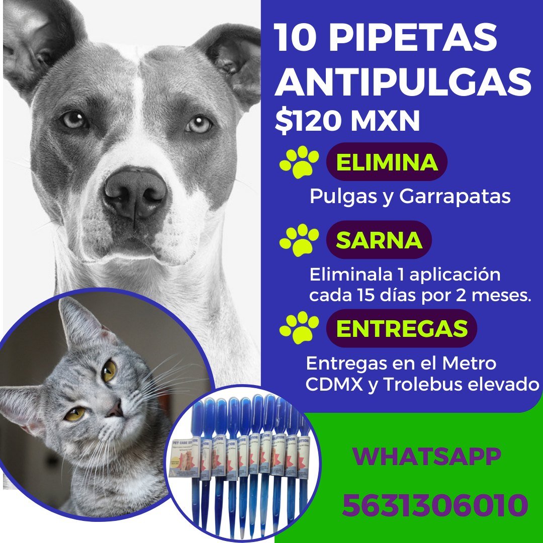 Anuncio de Antipulgas México Pipetas y Shampoos para Perros y Gatos Envios Nacionales: Antipulgas para perros y gatos