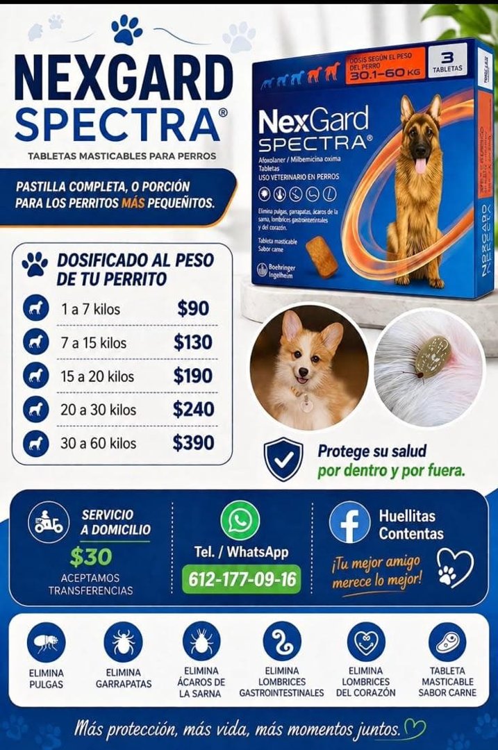 Anuncio de Huellitas contentas: Pastilla masticable para perros