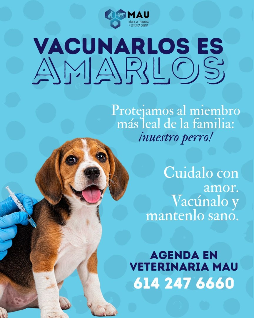 Anuncio de Veterinaria MAU: Vacunación veterinaria