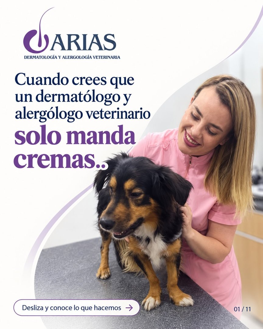 Anuncio de MV Marisol Arias: dermatología y alergología veterinaria