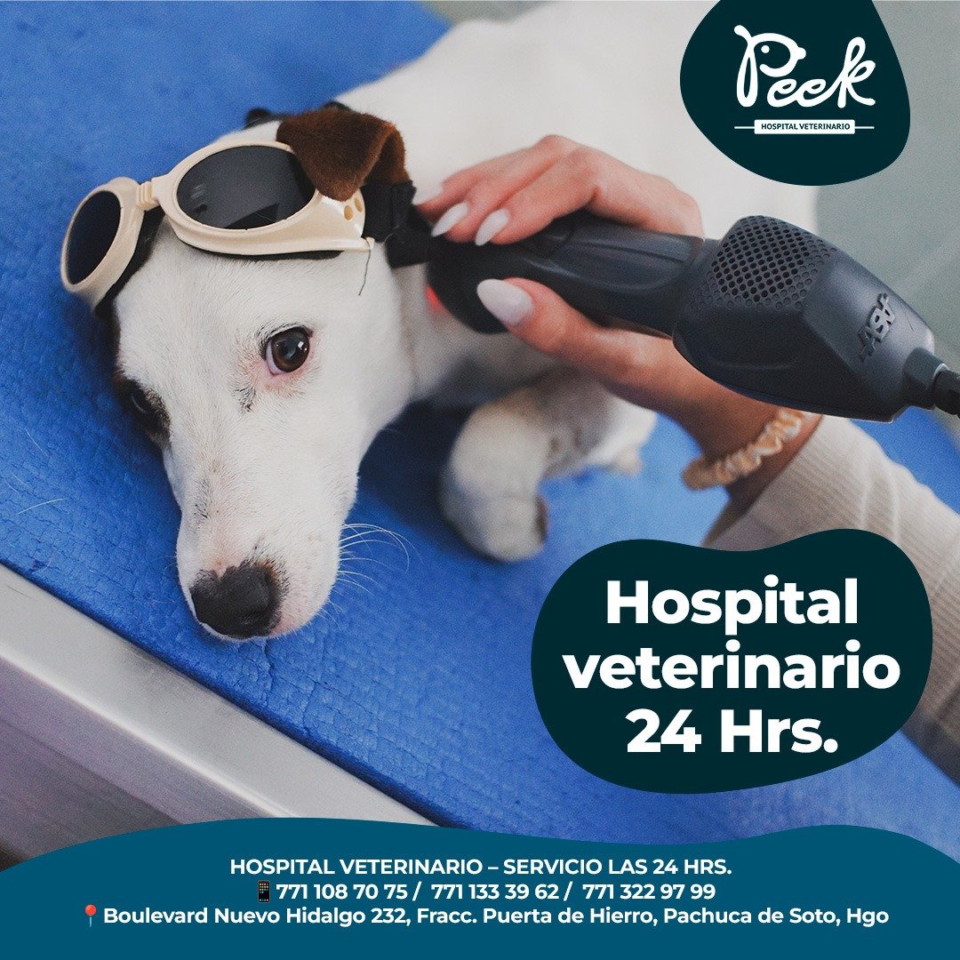 Anuncio de Peek Hospital Veterinario
