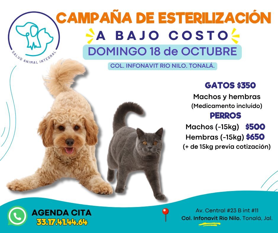Anuncio de Colectivo SAI: esterilización de mascotas