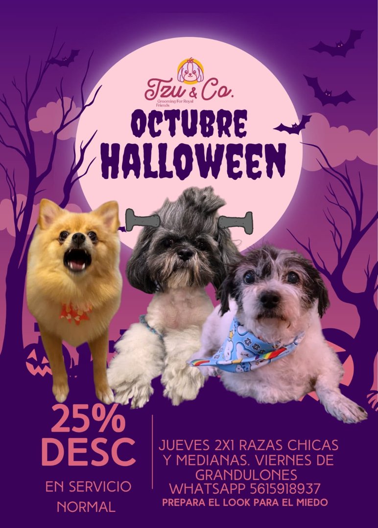 Anuncio de Tzu&Co.: Grooming para perros