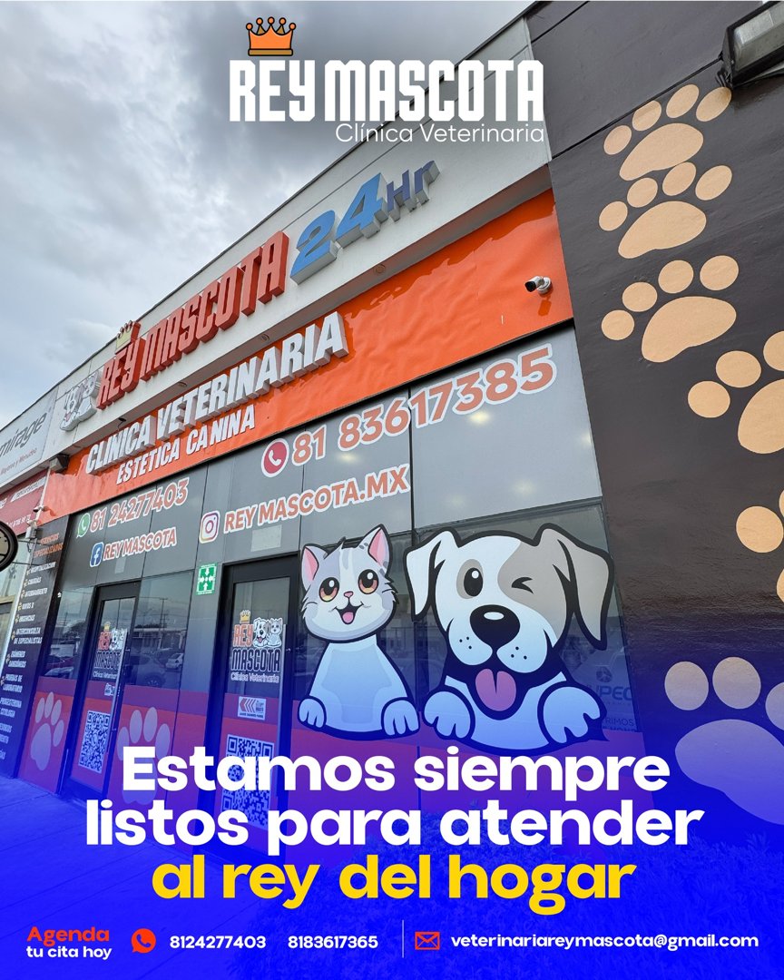 Anuncio de Rey Mascota: Clínica veterinaria 24 horas