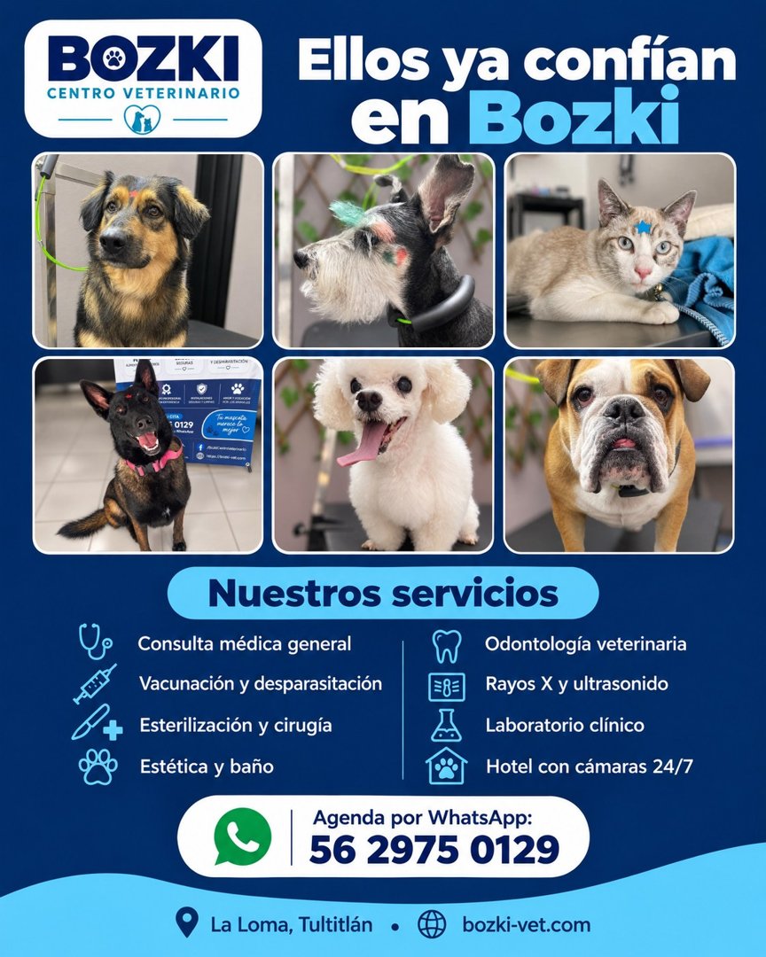 Anuncio de Bozki Centro Veterinario: Consulta médica general