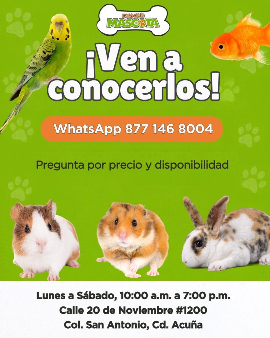 Anuncio de Casa de la Mascota