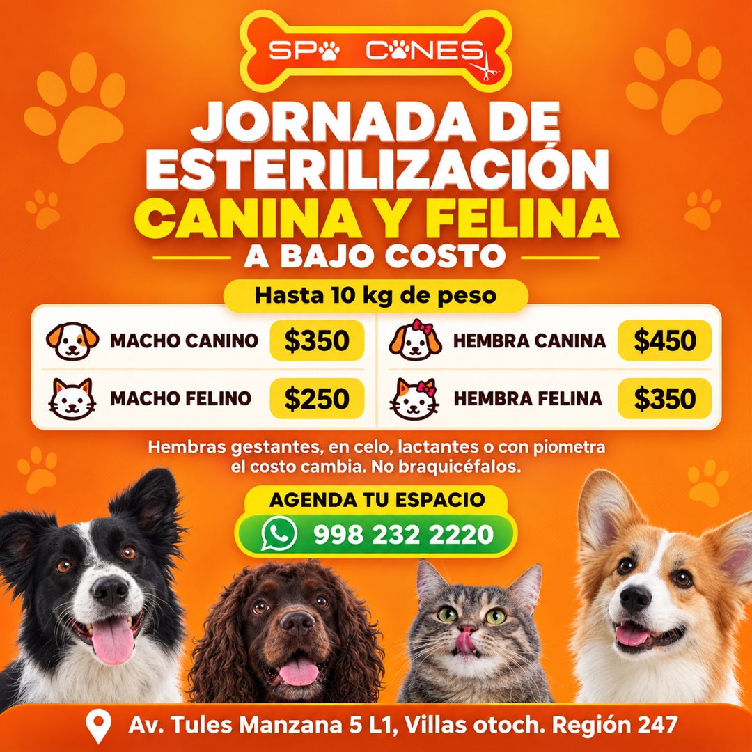 Anuncio de Spa Canes Veterinaria: esterilización canina y felina