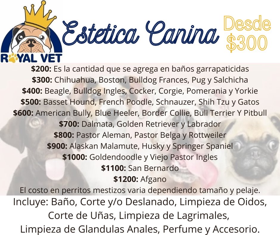 Anuncio de Royal Vet - Veterinaria, Estetica Canina y Mas en Cd. Juarez, Chihuahua: Estetica Canina